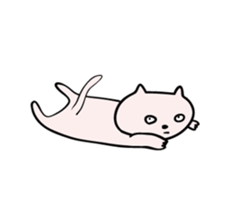 Cats stare sticker #2326846