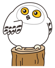 snowy owl sticker #2327108