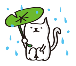 kitten of Nico sticker #2327557