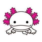 Mexico Salamander"Uparu" sticker #2329776