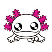 Mexico Salamander"Uparu" sticker #2329785