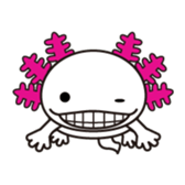 Mexico Salamander"Uparu" sticker #2329793