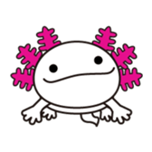 Mexico Salamander"Uparu" sticker #2329811