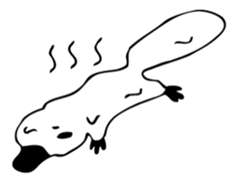 Go, Monotremes. Go! sticker #2330707