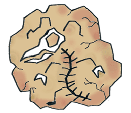 Mantis life sticker #2331117