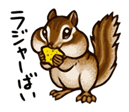 Kawaii Animals (Cute Animals of Kyushu) sticker #2331978