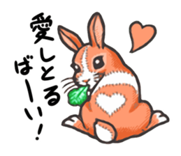 Kawaii Animals (Cute Animals of Kyushu) sticker #2331996