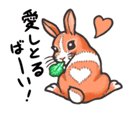 Kawaii Animals (Cute Animals of Kyushu) sticker #2331996