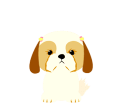 There is no character Shih Tzu sticker #2332016