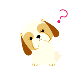 There is no character Shih Tzu sticker #2332017