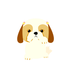 There is no character Shih Tzu sticker #2332020