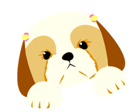 There is no character Shih Tzu sticker #2332025