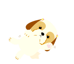 There is no character Shih Tzu sticker #2332044