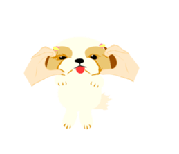 There is no character Shih Tzu sticker #2332053