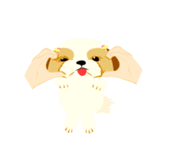 There is no character Shih Tzu sticker #2332053