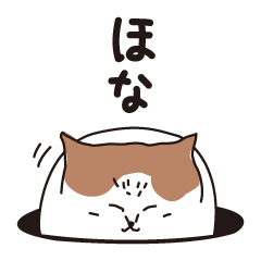 Osaka Cat KU