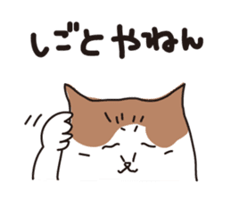 Osaka Cat KU sticker #2332341