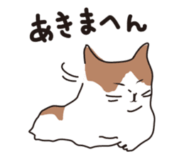 Osaka Cat KU sticker #2332351
