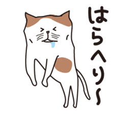 Osaka Cat KU sticker #2332354