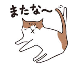 Osaka Cat KU sticker #2332357