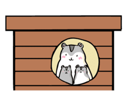 hamster girl sticker #2332497