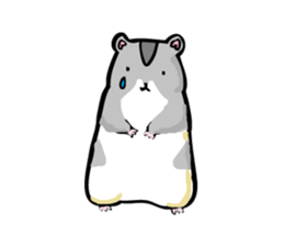 hamster girl sticker #2332535