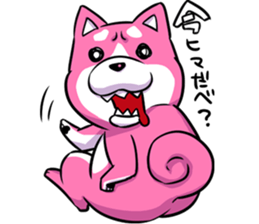 pink shibainu sticker #2332896