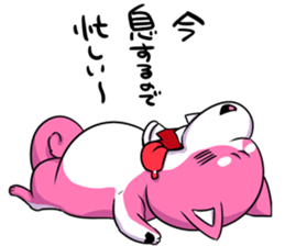 pink shibainu sticker #2332898