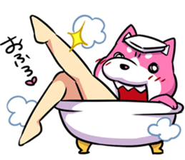 pink shibainu sticker #2332915