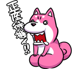 pink shibainu sticker #2332928