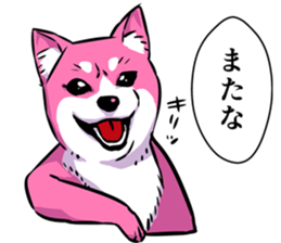 pink shibainu sticker #2332929