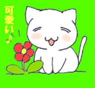 I am white cat sticker #2333530