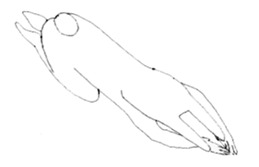 Rabbits don't feel  motivated sticker #2333938