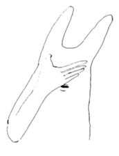 Rabbits don't feel  motivated sticker #2333946