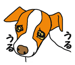 Yakusha Dogs & Cats sticker #2334162