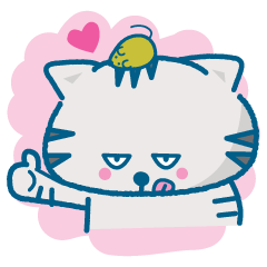 Everyday of the pretty cat and mouse