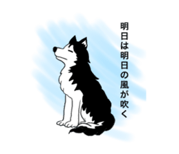 pups, the friends sticker #2335634