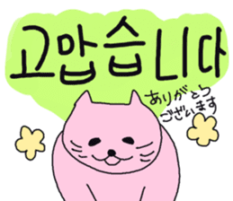 Cat and Hangul sticker #2339972