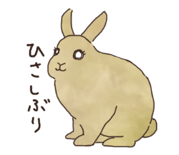 negi's rabbit sticker #2340334