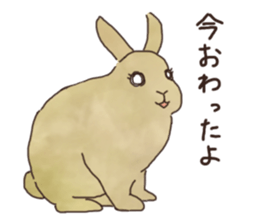 negi's rabbit sticker #2340341