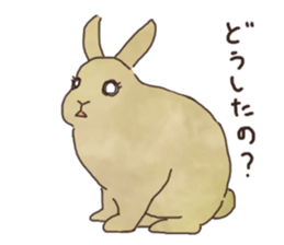 negi's rabbit sticker #2340347