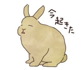 negi's rabbit sticker #2340357