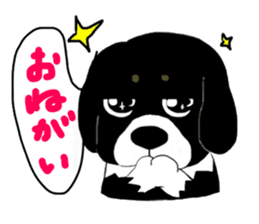 Kuro's daily life sticker #2340472