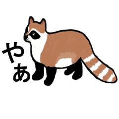 American and Canadian animals