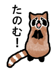 American and Canadian animals sticker #2342080