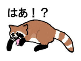 American and Canadian animals sticker #2342082