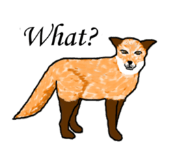 American and Canadian animals sticker #2342087