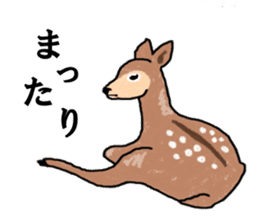 American and Canadian animals sticker #2342099