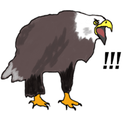 American and Canadian animals sticker #2342102