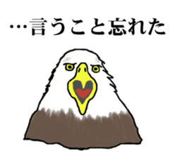 American and Canadian animals sticker #2342103